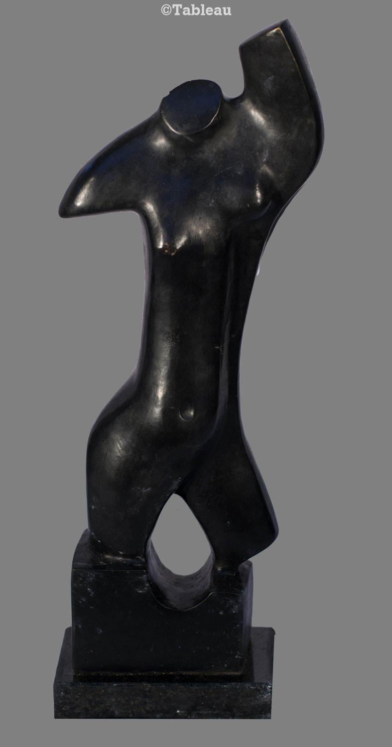 Torso