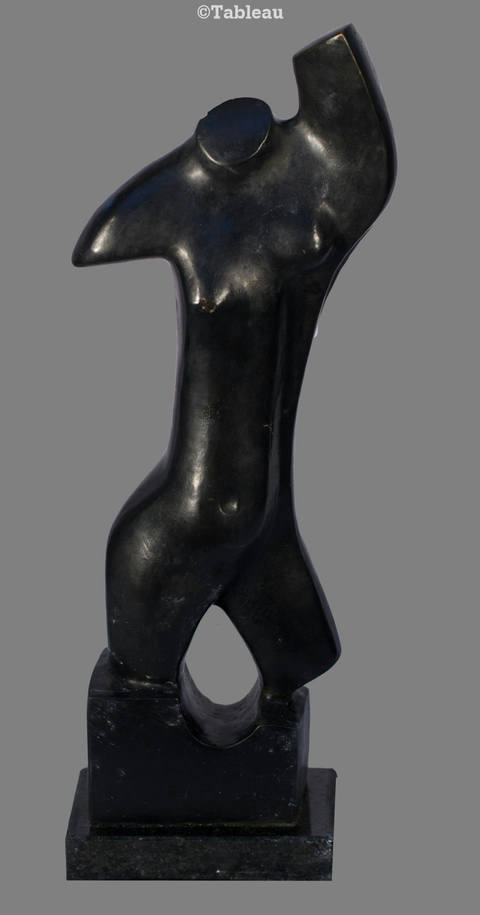 Torso