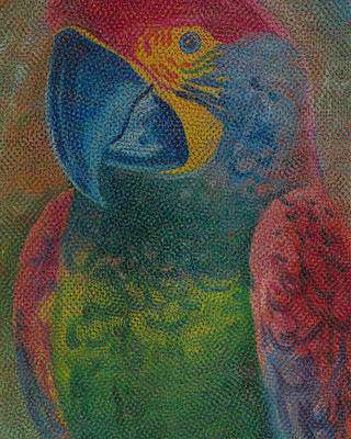 Claudio Tozzi - Papagaio