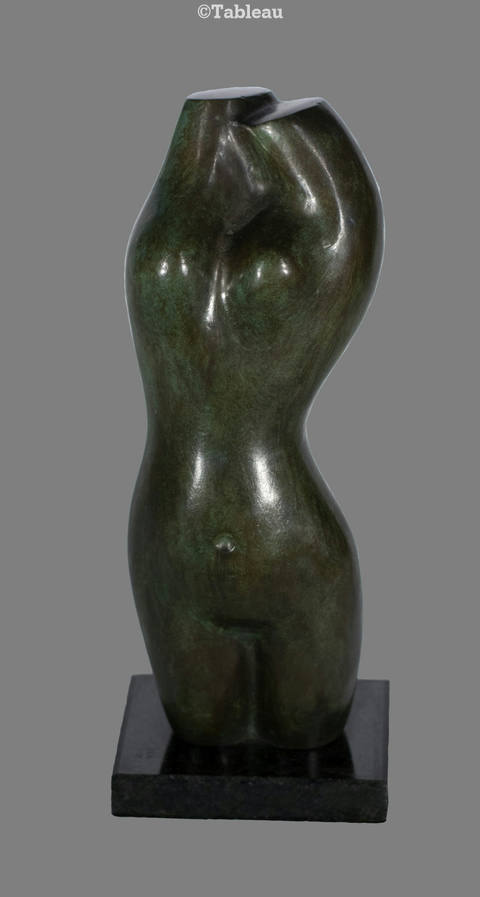 Torso