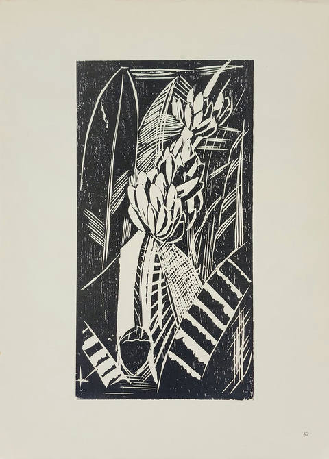 Bananeira