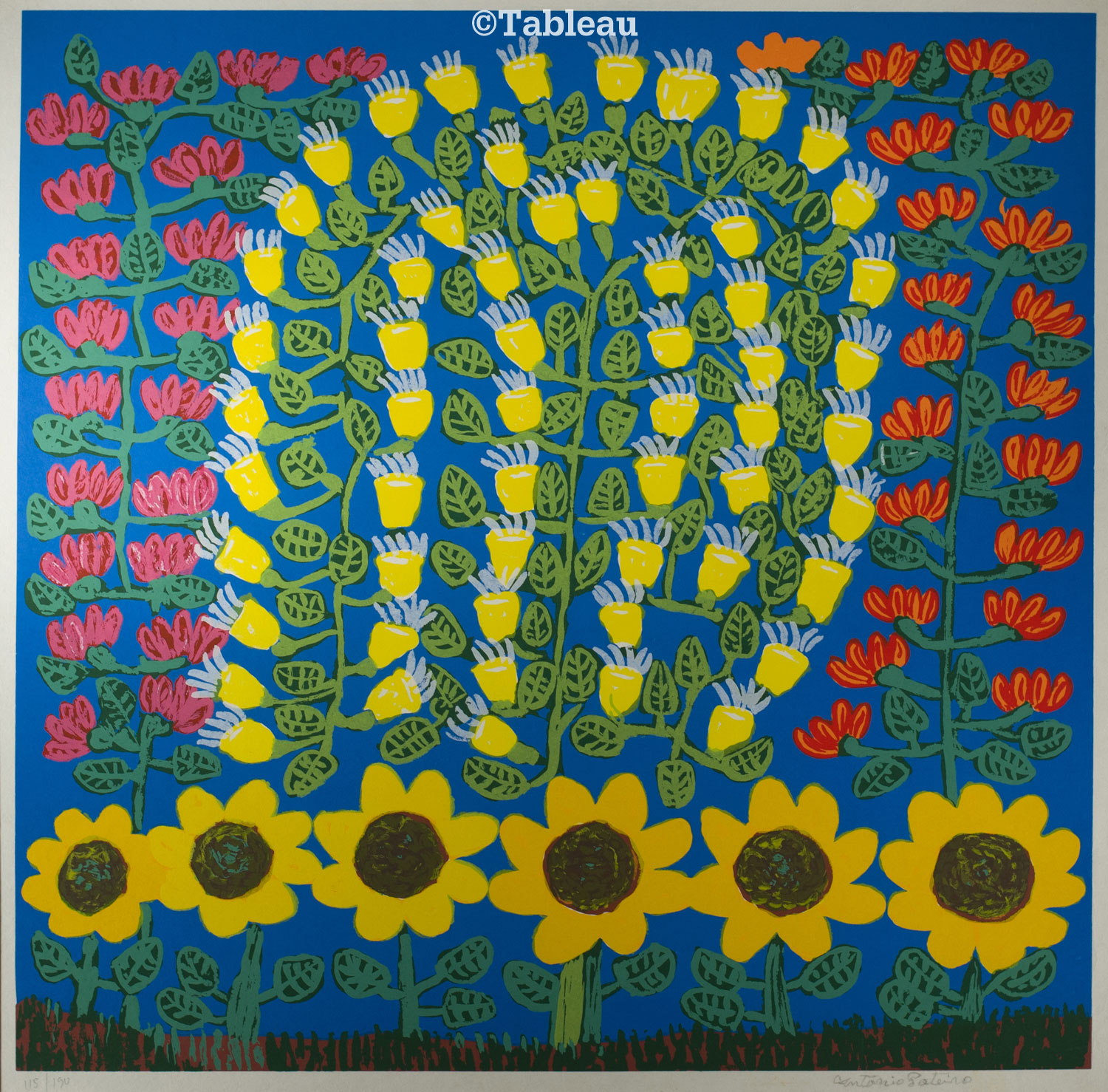 Flores