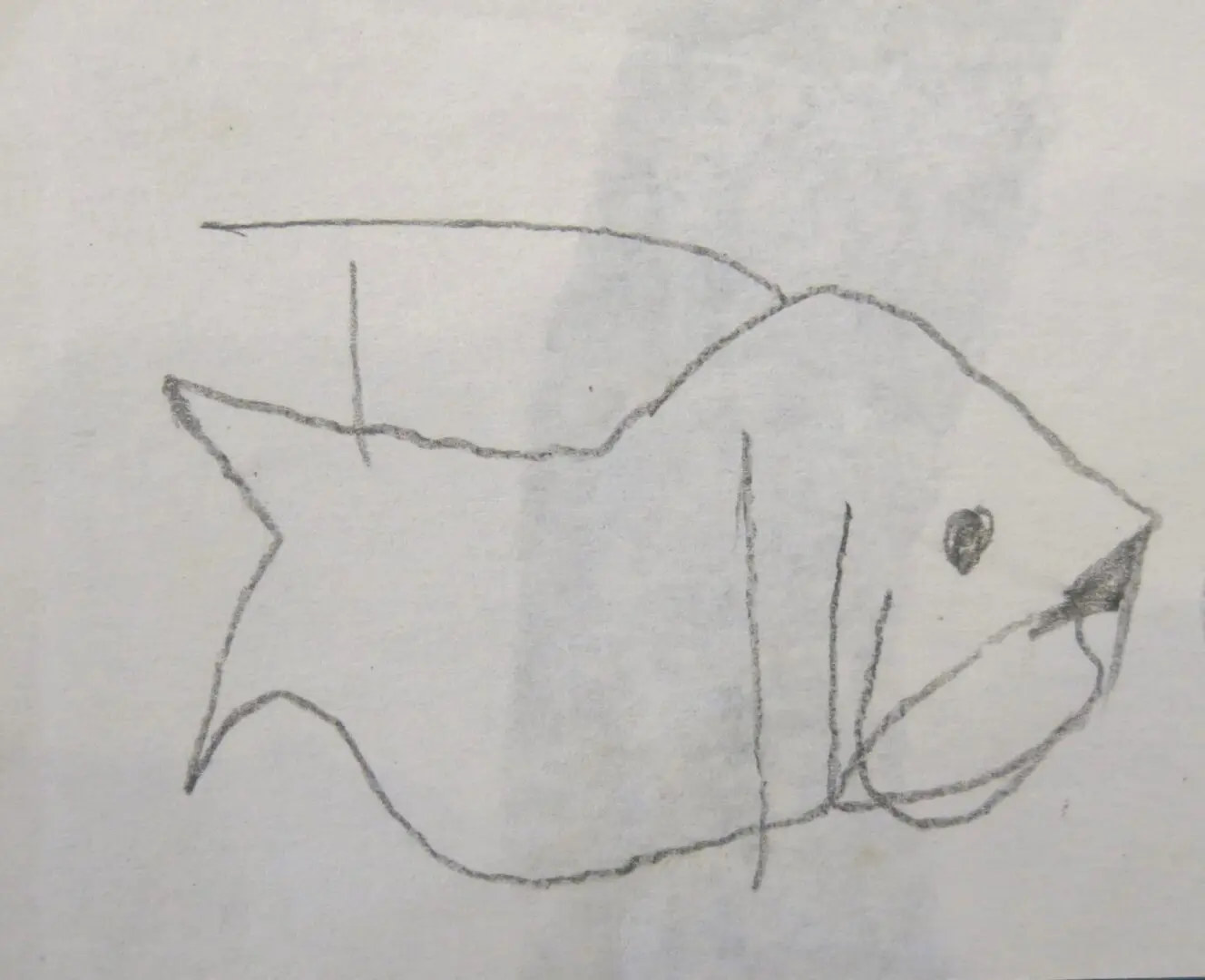 Peixe