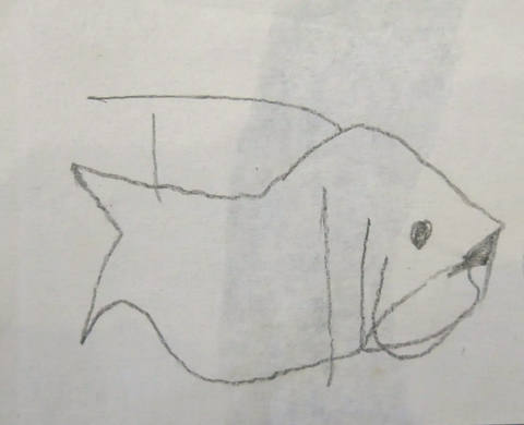 Peixe