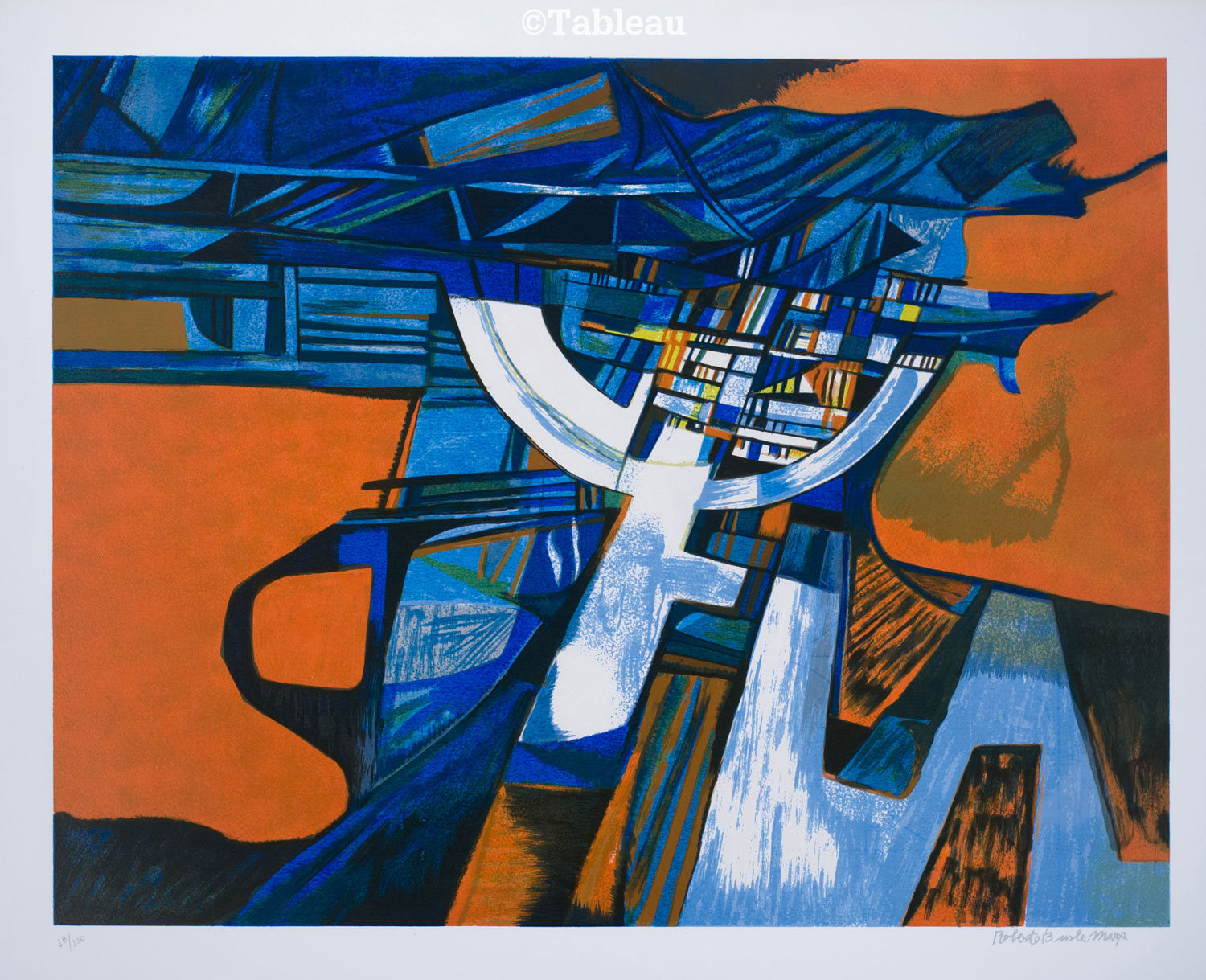 Roberto Burle Marx - Composição