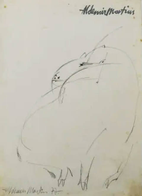 Capivara
