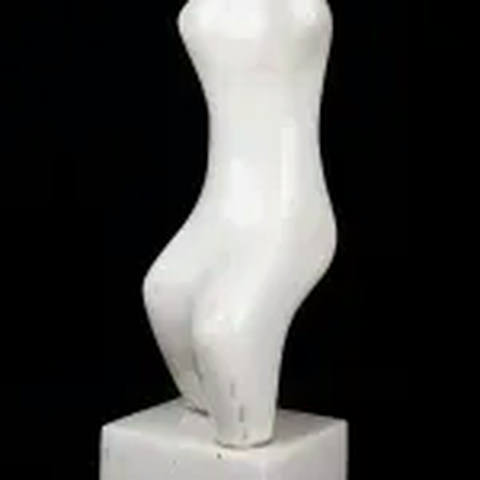 Torso