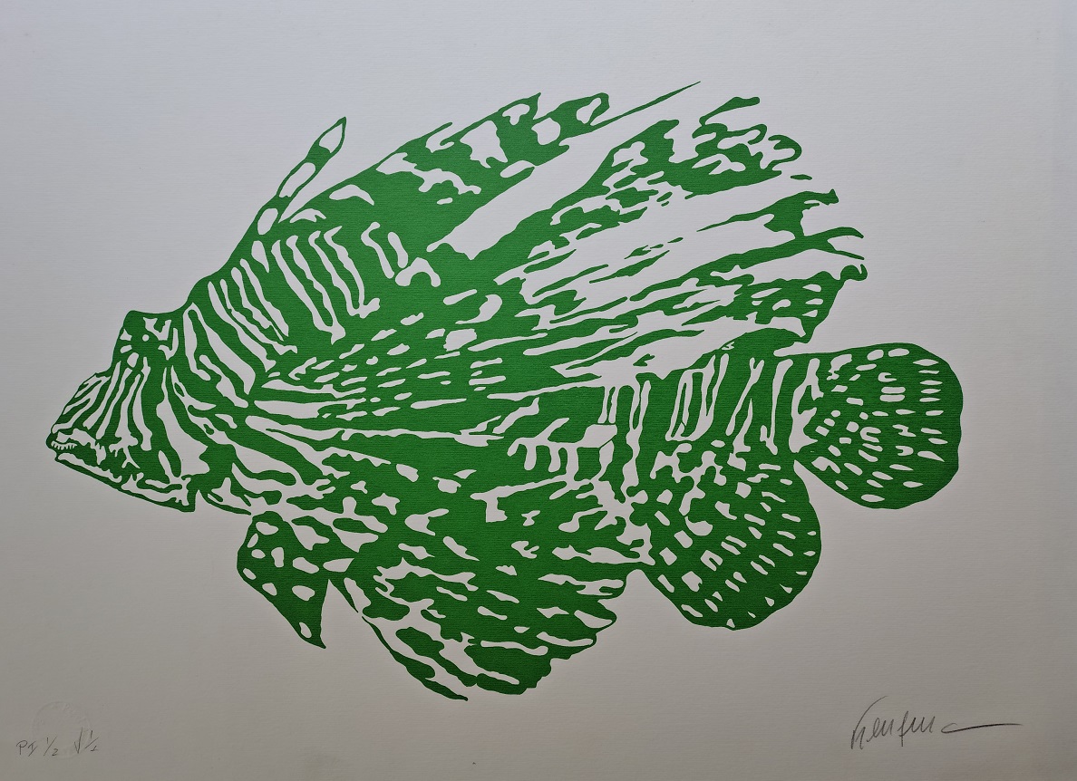 Kleber Ventura - Peixe Verde