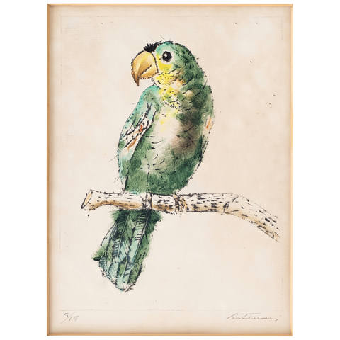 Papagaio