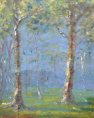 Manoel Santiago - Cascudas