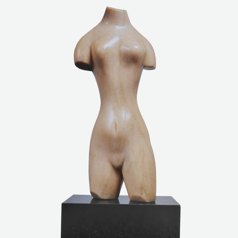 Torso