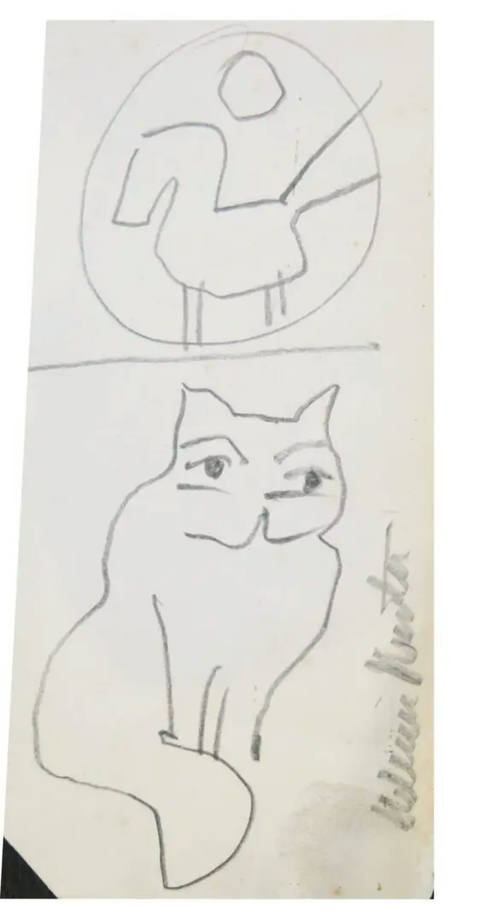 Cavalo e Gato