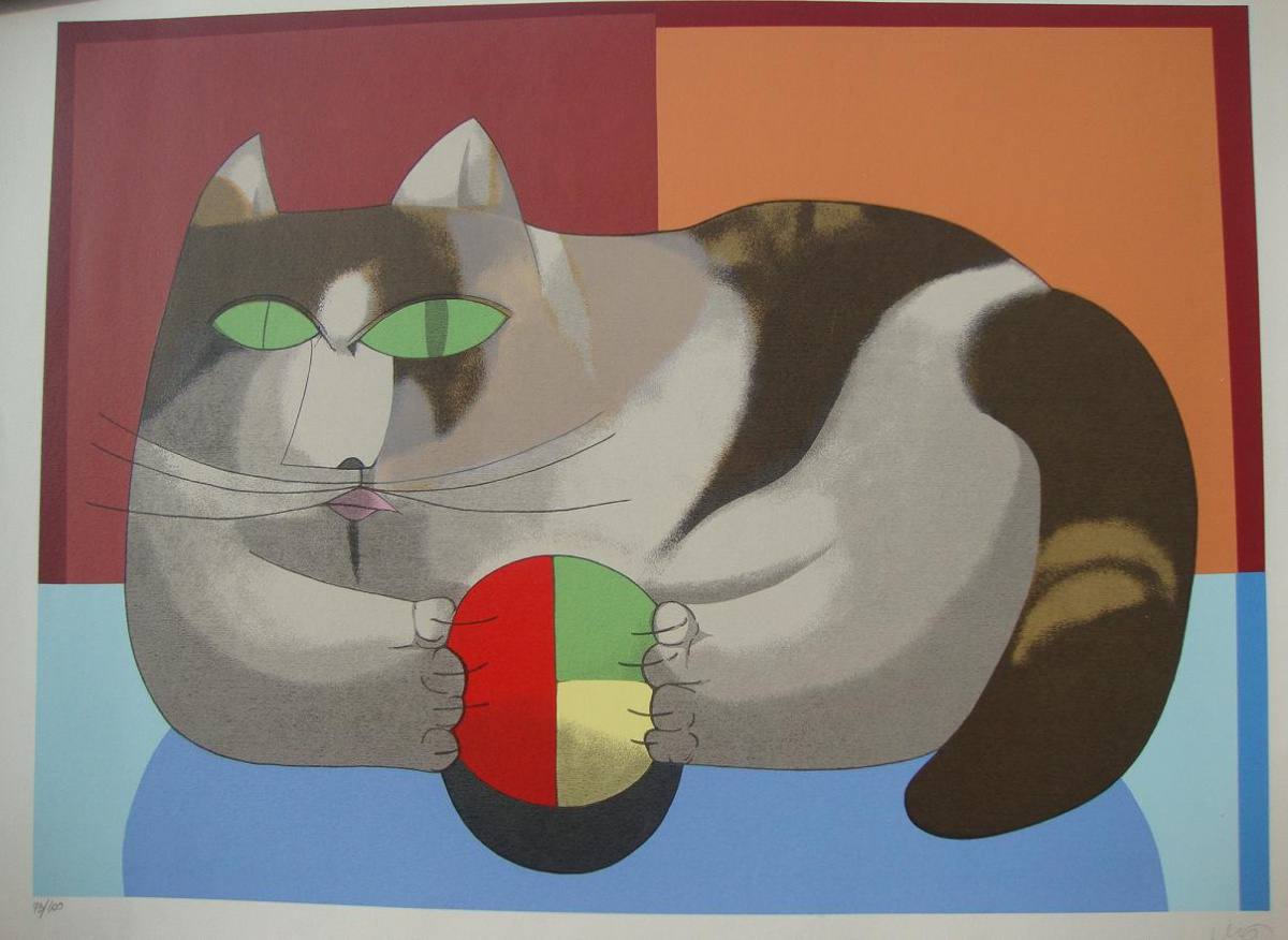 Gato Marron
