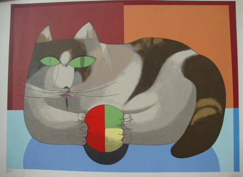 Gato Marron