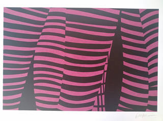 Kleber Ventura - Pernas Pink
