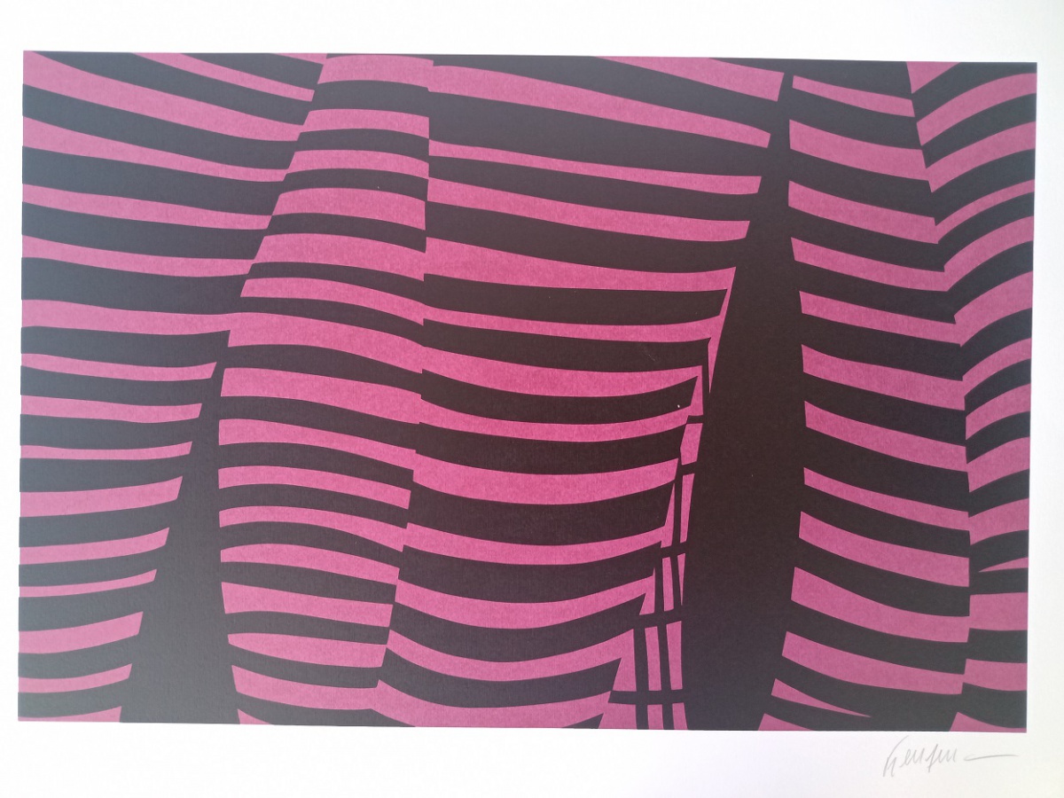 Kleber Ventura - Pernas Pink