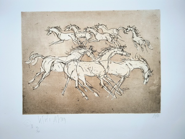 Cavalos