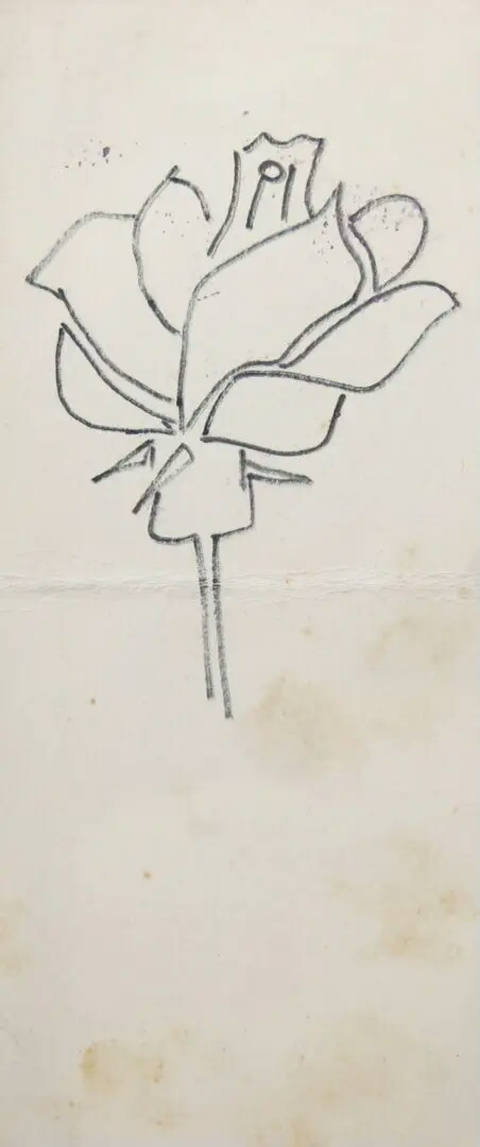 Rosa