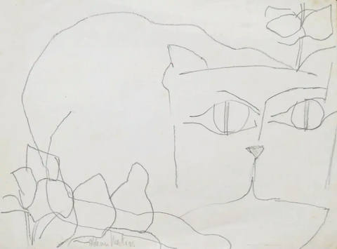 Gato