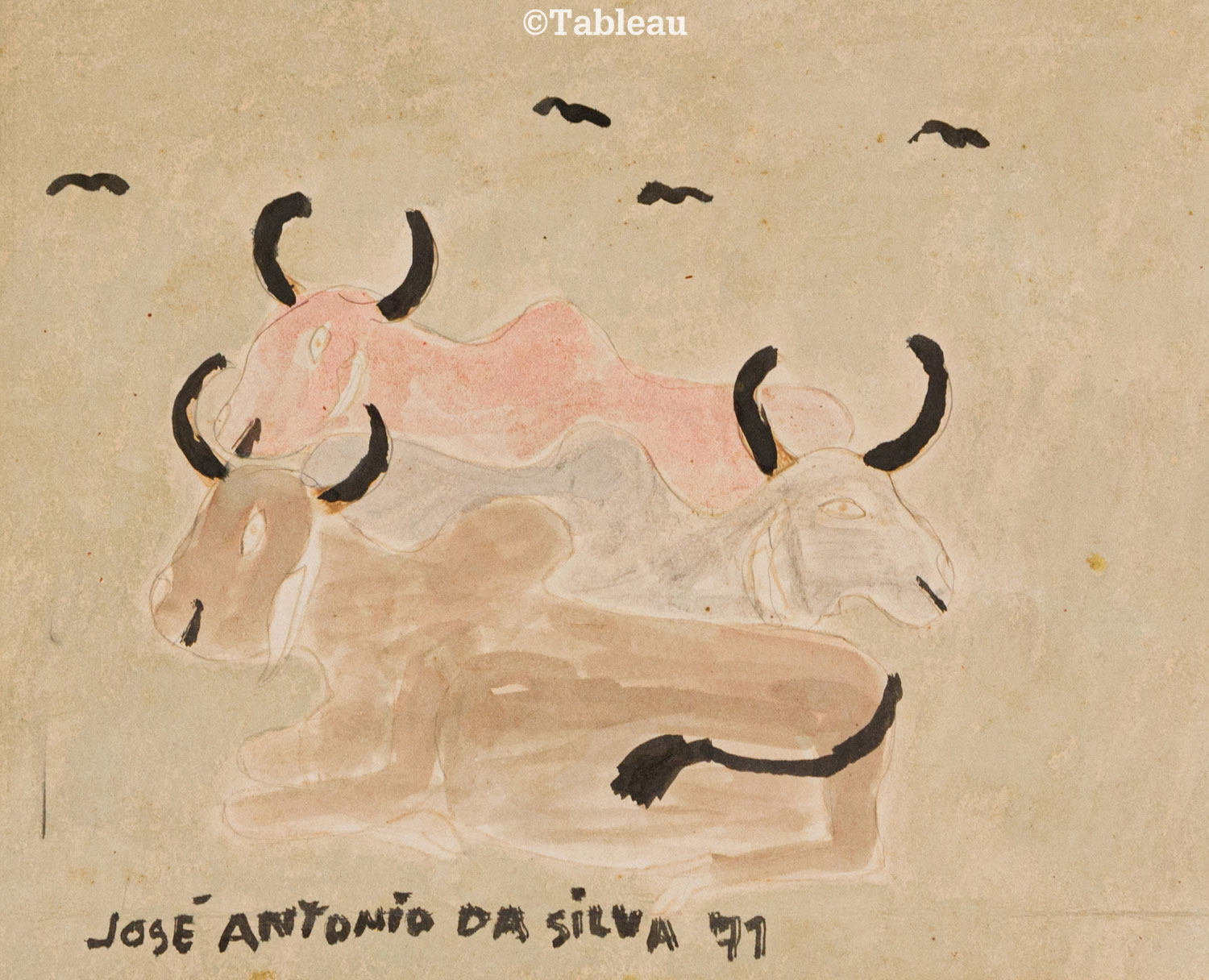 José Antônio da Silva - Bois