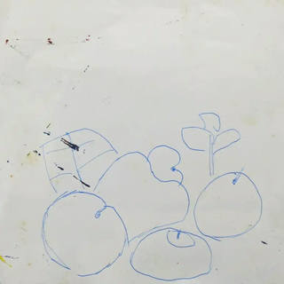 Aldemir Martins - Frutas