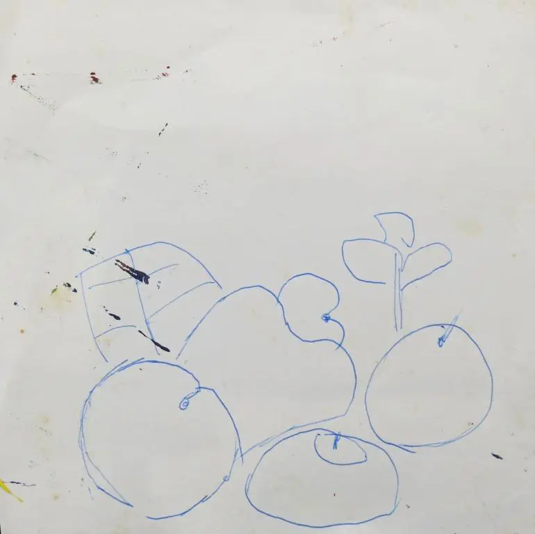 Frutas