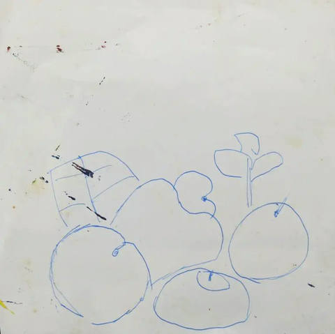 Frutas