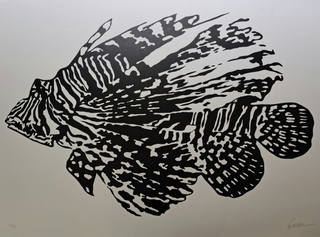 Kleber Ventura - Peixe