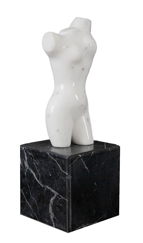 Torso