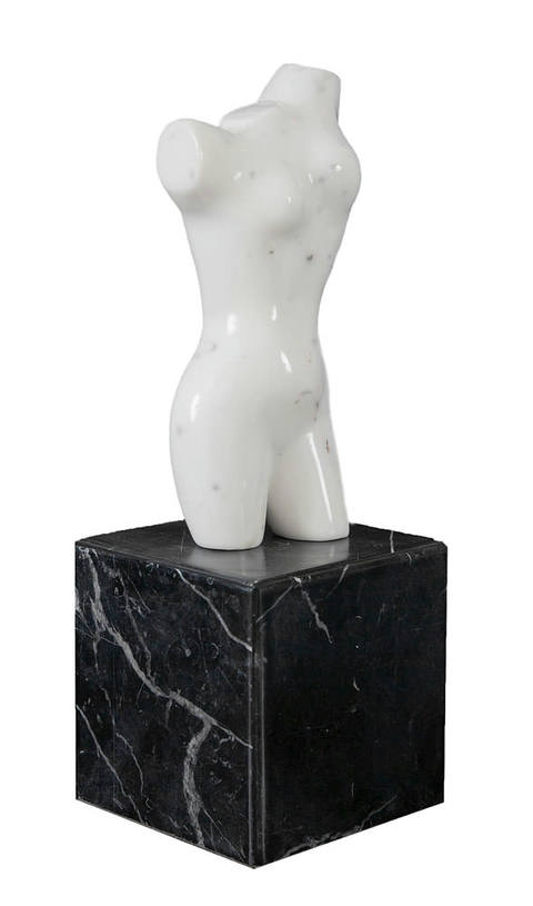 Torso