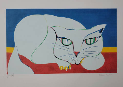 Gato Azul Claro
