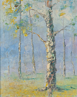 Manoel Santiago - Cascudas