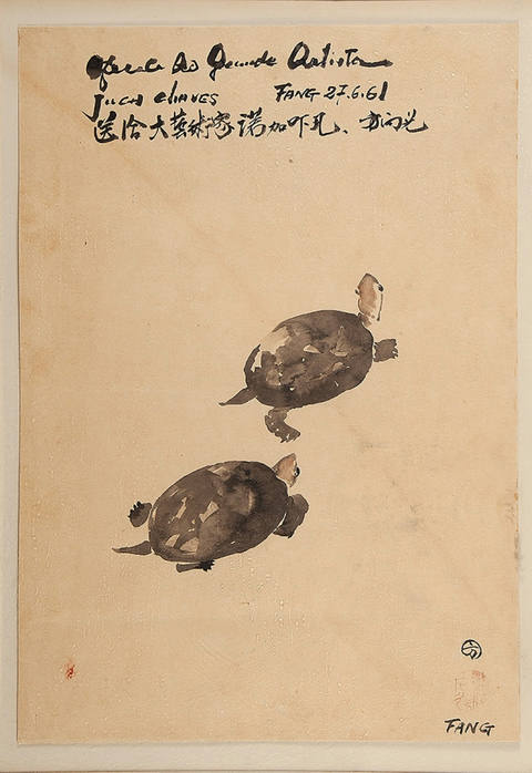 Tartarugas