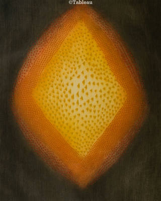Arthur Luiz Piza - Rouge-orange