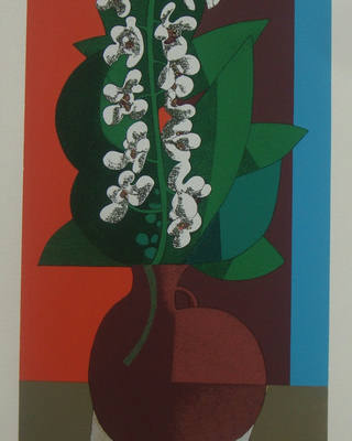 Inos Corradin - Orquídeas