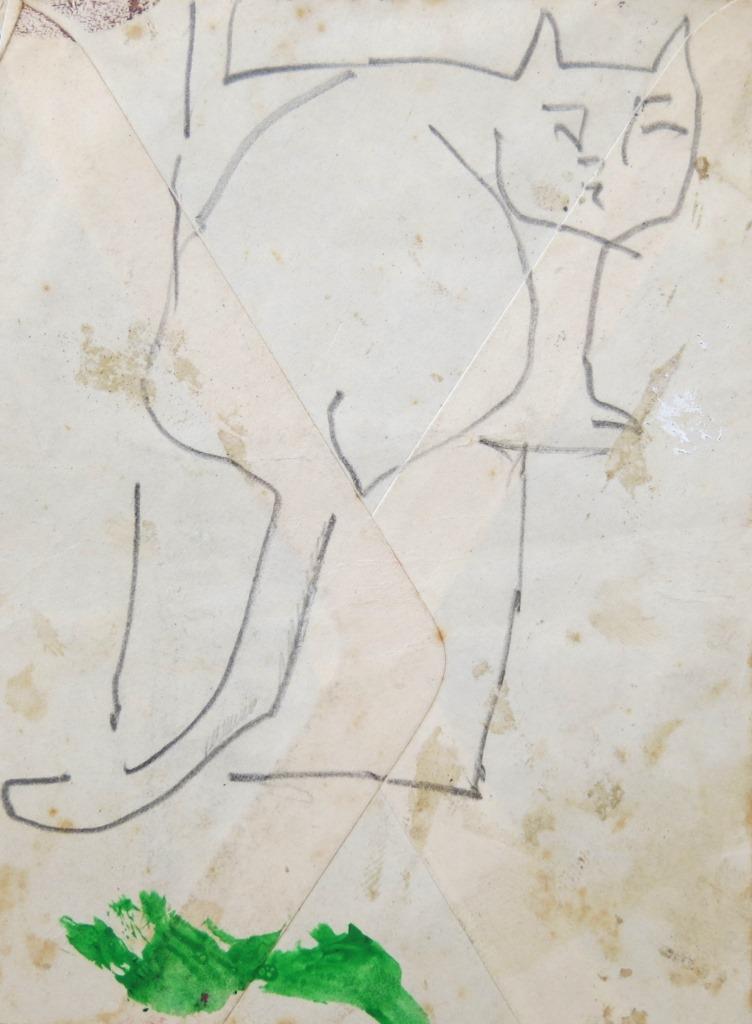 Gatos