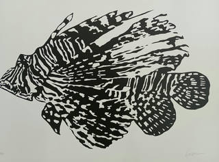 Kleber Ventura - Peixe