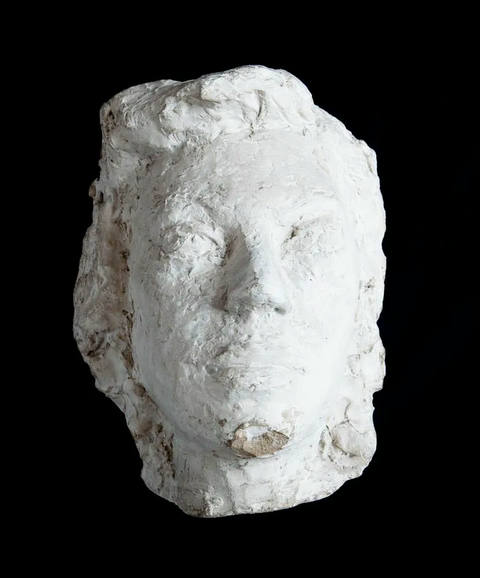 Figura Feminina