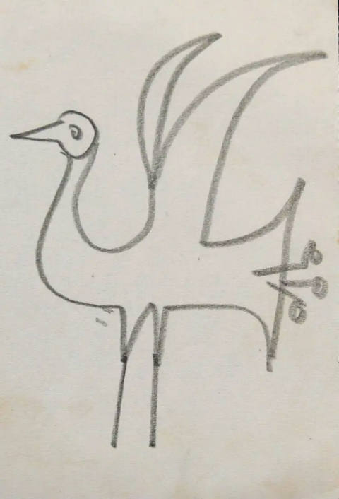 Pássaro
