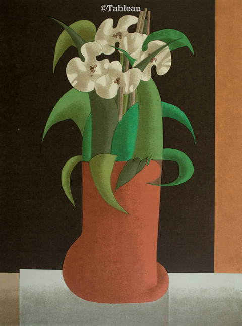 Flores
