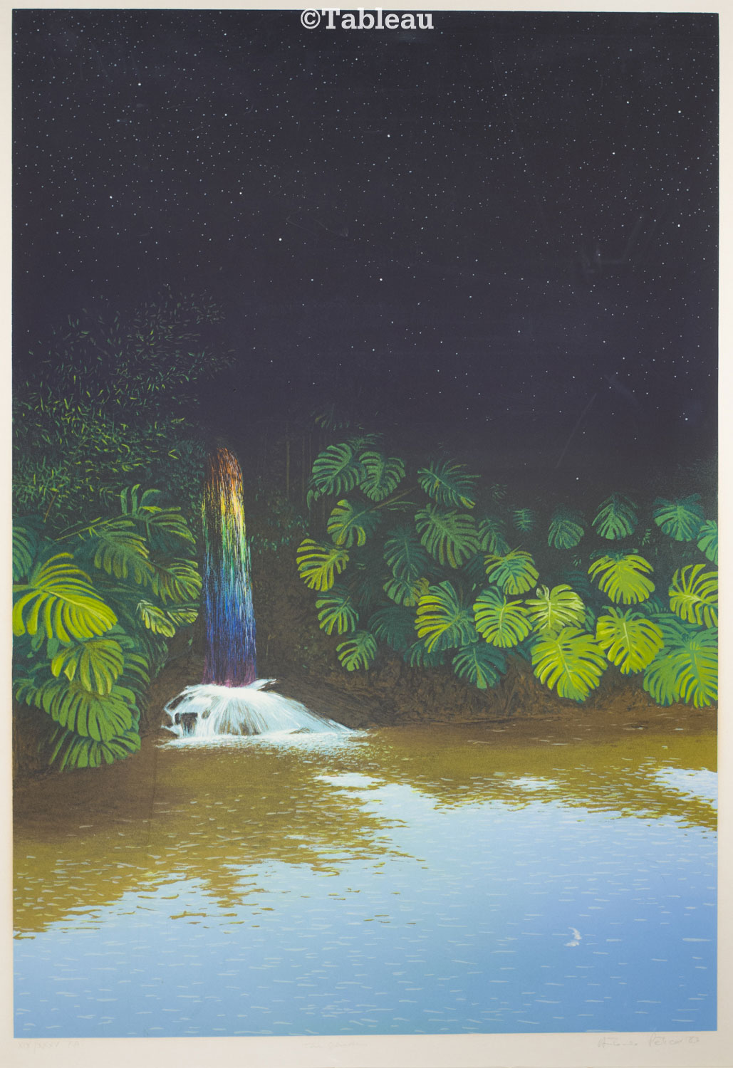 The Garden