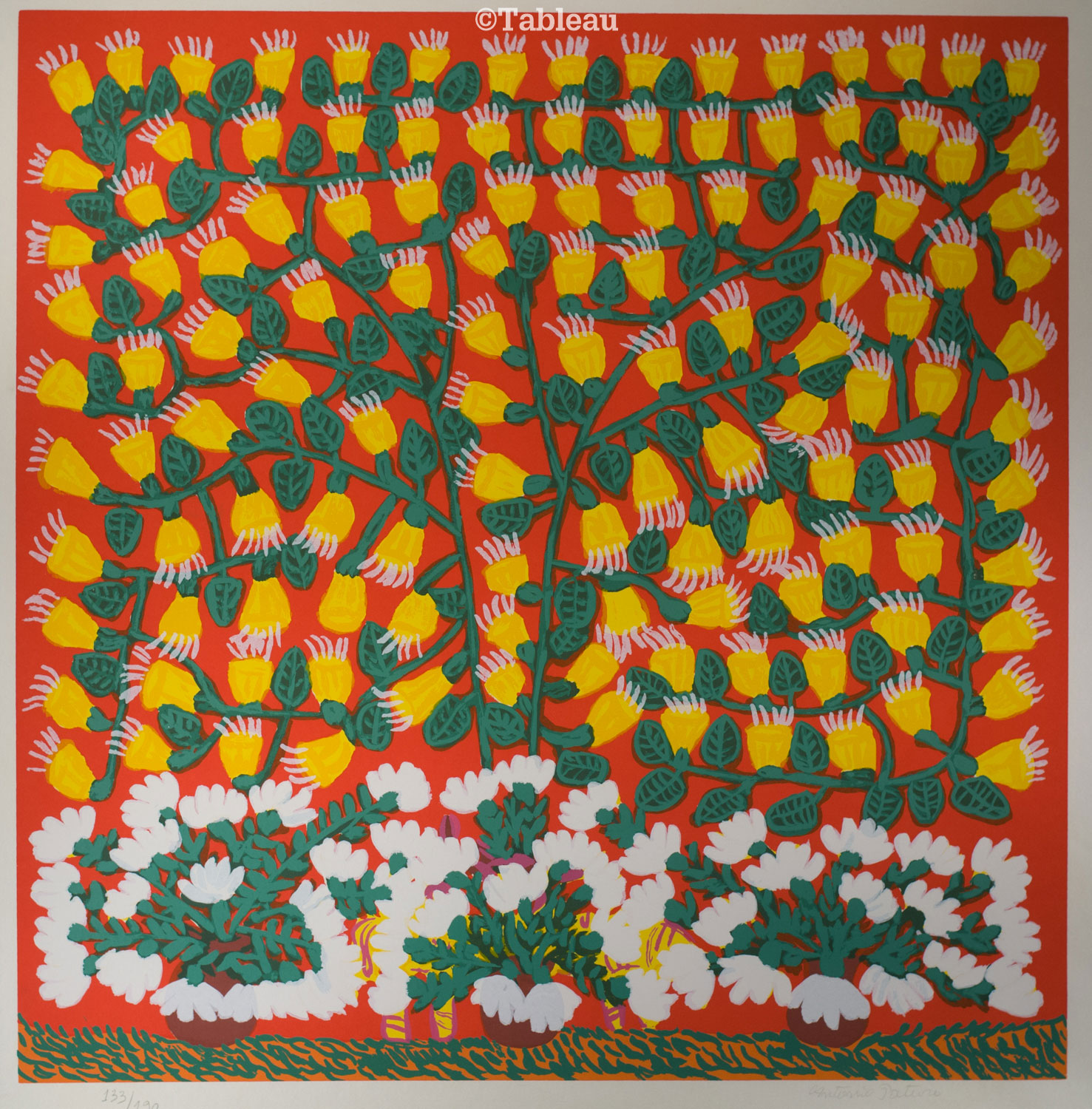Flores da maracujazeira