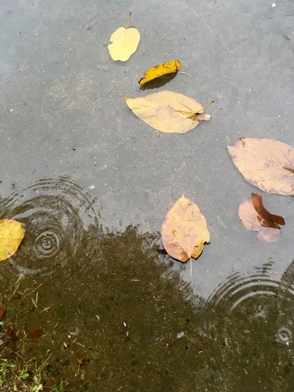 Chuva na Calçada II