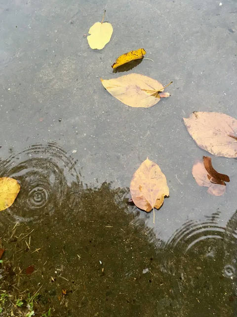 Chuva na Calçada II