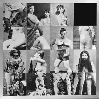 Nelson Leirner - Quebra-cabeça