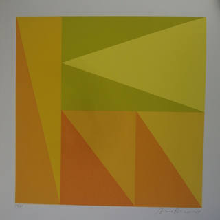 Antonio Peticov - Geométrico