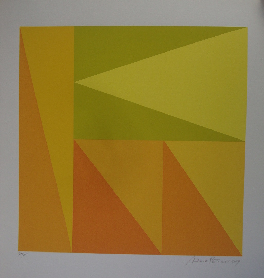 Antonio Peticov - Geométrico