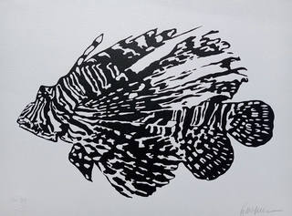 Kleber Ventura - Peixe