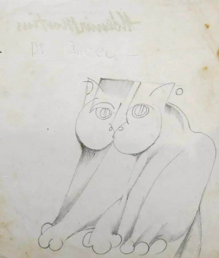 Gato