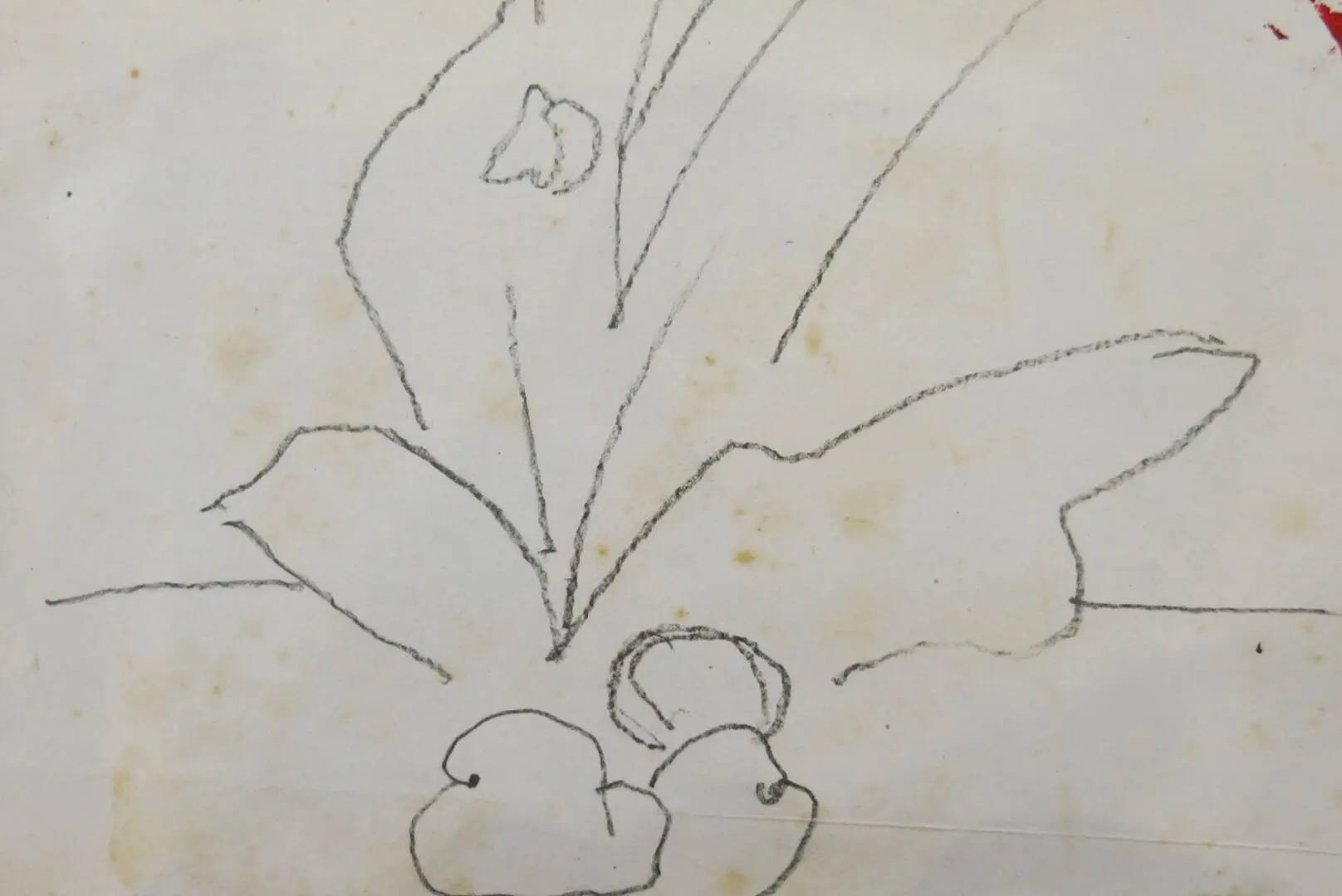 Aldemir Martins - Desenhos